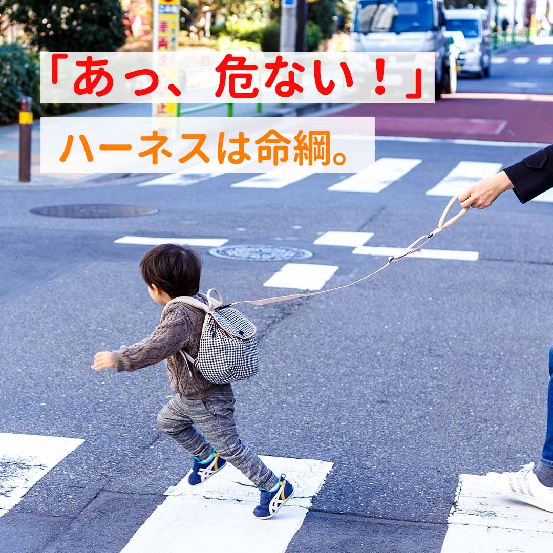 ダディッコ dad'cco ハーネスリュック ベビーリュック 子供用